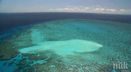 австралия план опазване големия бариерен риф