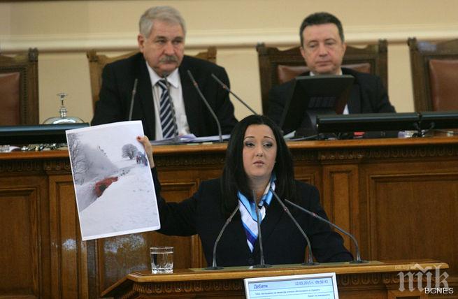 Павлова: Тепърва ще анализираме щетите след снеговете