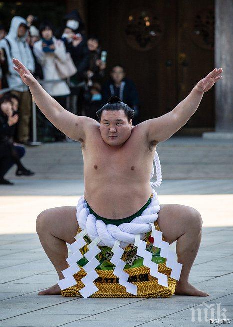 Хакухо не успя да спечели предсрочно Купата на Императора