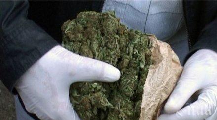 полицаи окошариха младеж заради марихуана