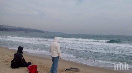 масово разпродават имоти морето търгове рекордът камен бряг близо млн парцел