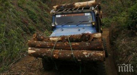 износителите дървесина нов протест блокират границите