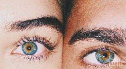 сензация хората сини очи света имат родствена връзка вижте