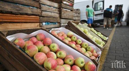 русия спре вноса плодове зеленчуци сърбия