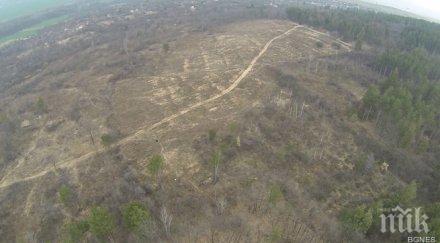 тюлбето казанлък обезлесява