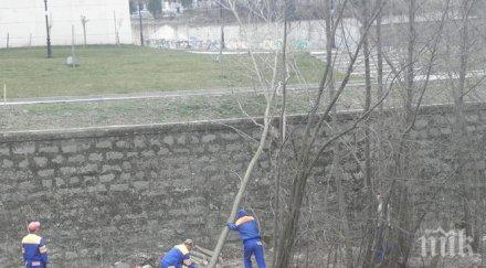 почистиха коритото река бистрица благоевград