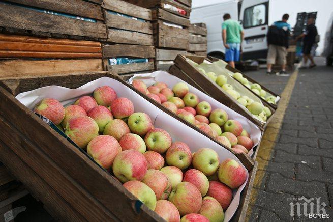 Русия може да спре вноса на плодове и зеленчуци от Сърбия