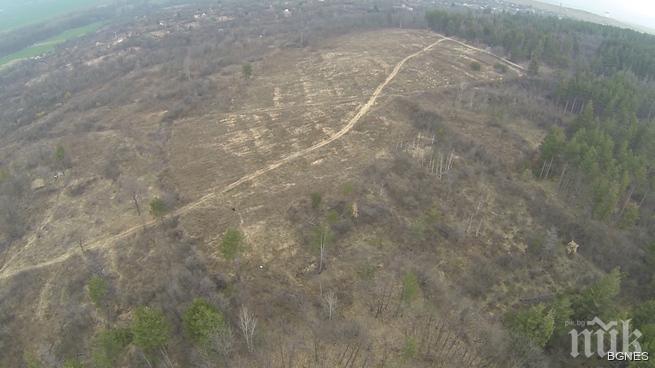 Тюлбето в Казанлък се обезлесява