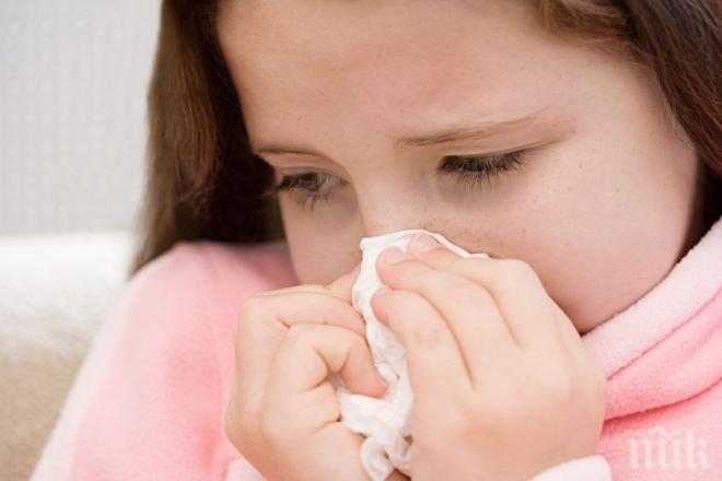 Бум на алергиите в Бургас – причината е влажният и мръсен въздух