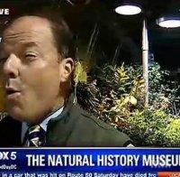 Уникално! Пеперуда снесе яйца на живо в ухото на репортер (снимка и видео)