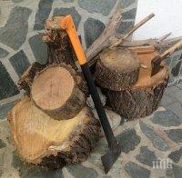 Дървосекачи на протест в прохода Хаинбоаз