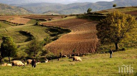 държавата прави ударена 200 млн