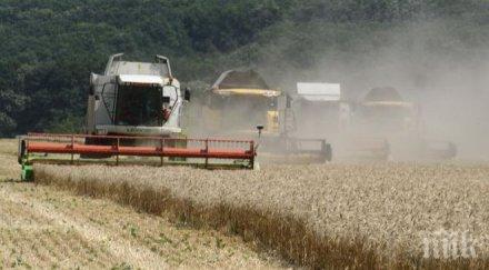 залесяват 700 декара земи югозападното държавно предприятие благоевград