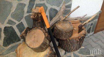 дървосекачи протест прохода хаинбоаз