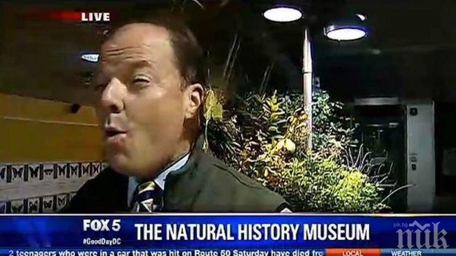 Уникално! Пеперуда снесе яйца на живо в ухото на репортер (снимка и видео)