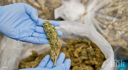 дрога кромид лук вкара стар познайник полицията ареста