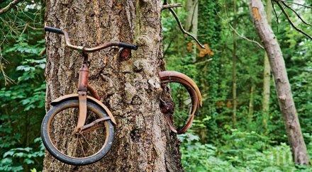 поразителни изоставени места света пленят своята уникалност