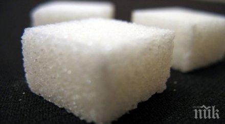 откритие захаринът лекува рак