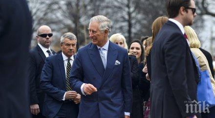 темида разреши публикуването писма компрометиращи чарлз