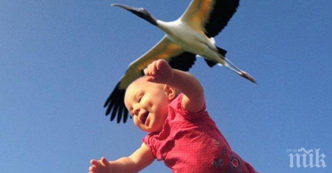 Не можеш да повярваш на тези снимки, докато не ги видиш с очите си!