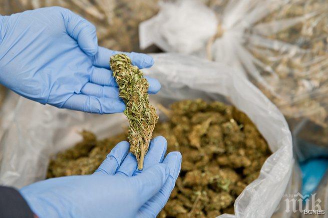 Дрога в кромид лук вкара стар познайник на полицията в ареста