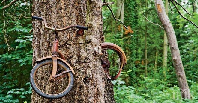 Тези  поразителни изоставени места по света ще те пленят със своята уникалност!