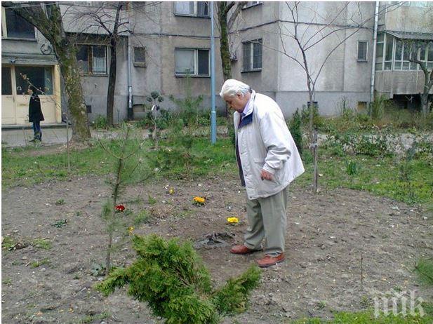 Пловдивчани изумени: Кой задигна 100-килограмовата Афродита?