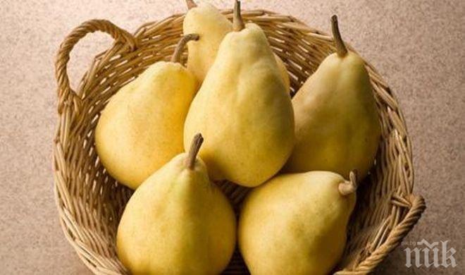 Полезно! Компотът от круши укротява язвата
