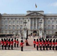 Ужас! Всеки 20-ти студент във Великобритания плаща образованието си чрез секс 