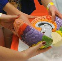 В мозъка има механизъм за преодоляване на разрива с партньора