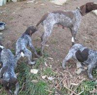 350 обгазени в Дебелец още чакат справедливост