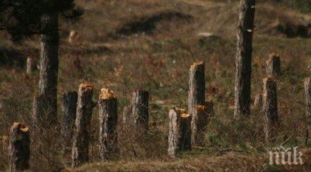 варненци поход спасяване горите аспарухово
