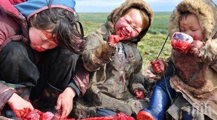 силновъздействащите снимки виждал