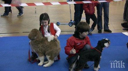 кучета ловци трюфели киноложките изложби пловдив