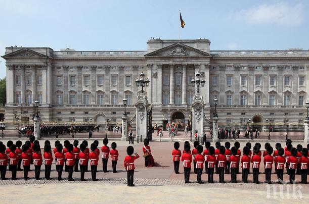 Ужас! Всеки 20-ти студент във Великобритания плаща образованието си чрез секс 