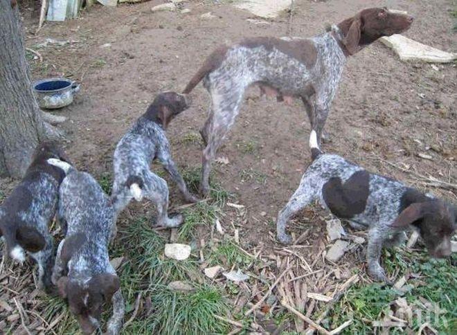 350 обгазени в Дебелец още чакат справедливост