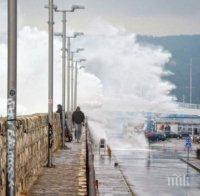 Отмениха тревогата за цунами в Тихия океан
