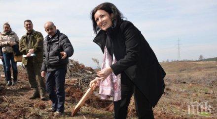 мзх извърши мащабно залесяване 2015 година