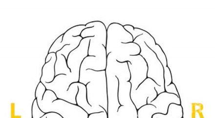 тест проверете работи мозъкът