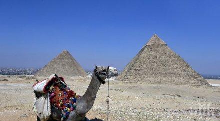 бирата национално питие древен египет