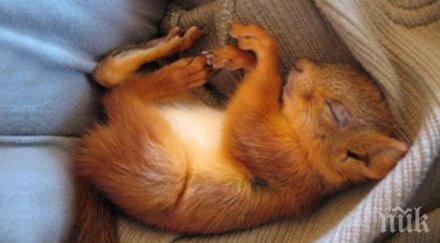 хора спасиха беззащитно бебе катеричка случи вярване