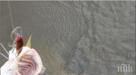 кошмар рибар реши хванал риба вижте извади