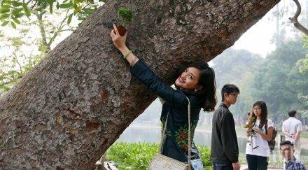 лудост разочарована мъжете жена отдава дърво иска омъжи