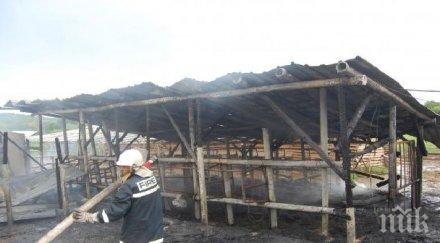 купуваме месо фермата