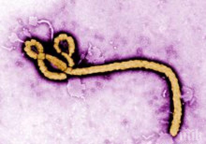 Вирусът на ебола е по-опасен за децата