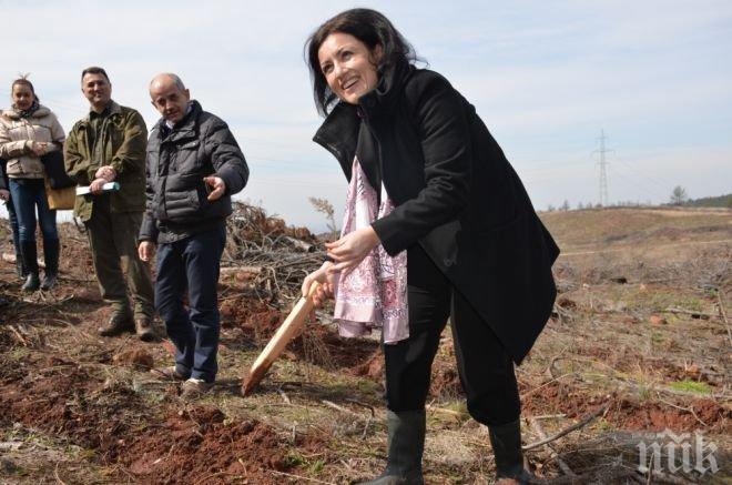 МЗХ ще извърши мащабно залесяване през 2015 година