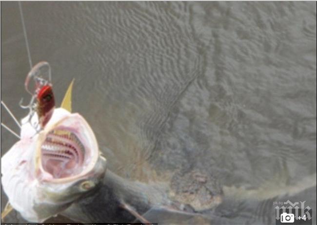 Кошмар! Рибар реши, че е хванал риба, а вижте какво извади