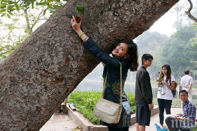 Лудост! Разочарована от мъжете жена се отдава на дърво, иска да се омъжи за него