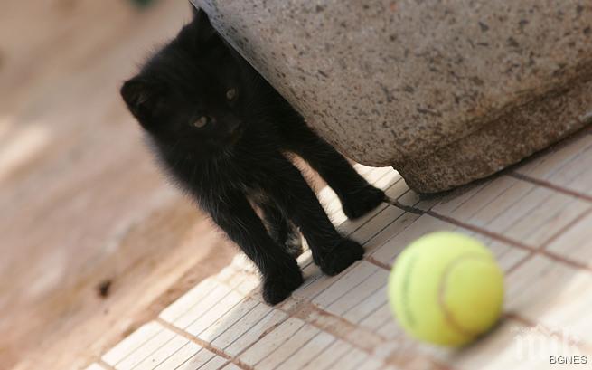 Тенис занимания помагат на деца аутисти 