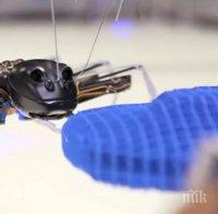 Мравки роботи с големината на човешка ръка са бъдещите работници във фабриките